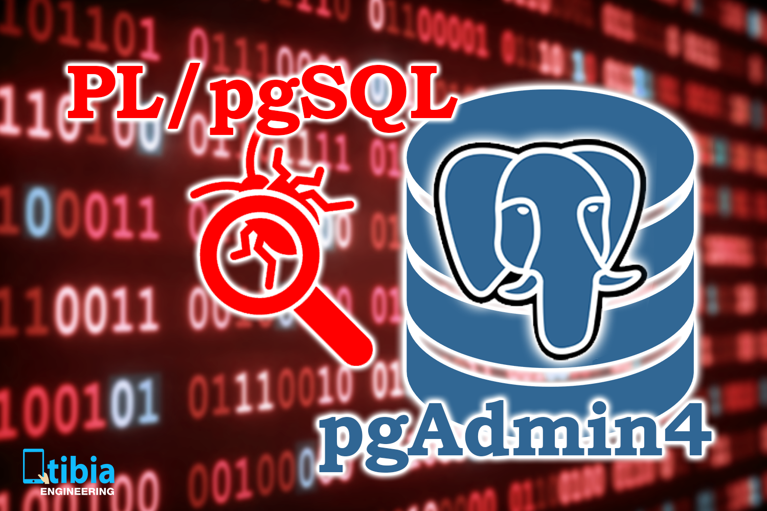 How to install the PL/PGSQL debugger and use it in PgAdmin
